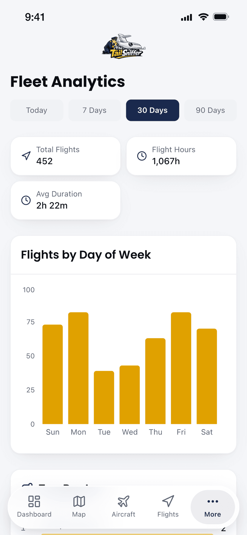 Analytics — fleet statistics and flights by day